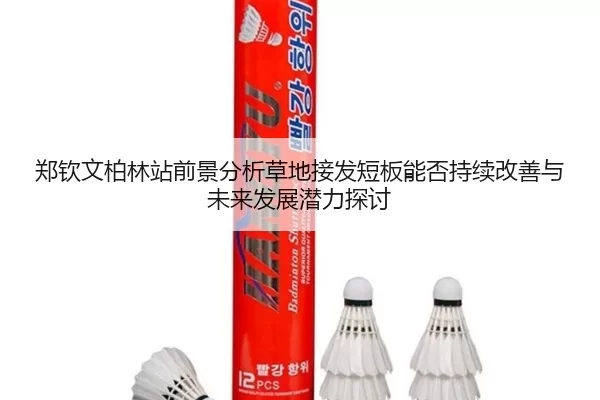郑钦文柏林站前景分析草地接发短板能否持续改善与未来发展潜力探讨